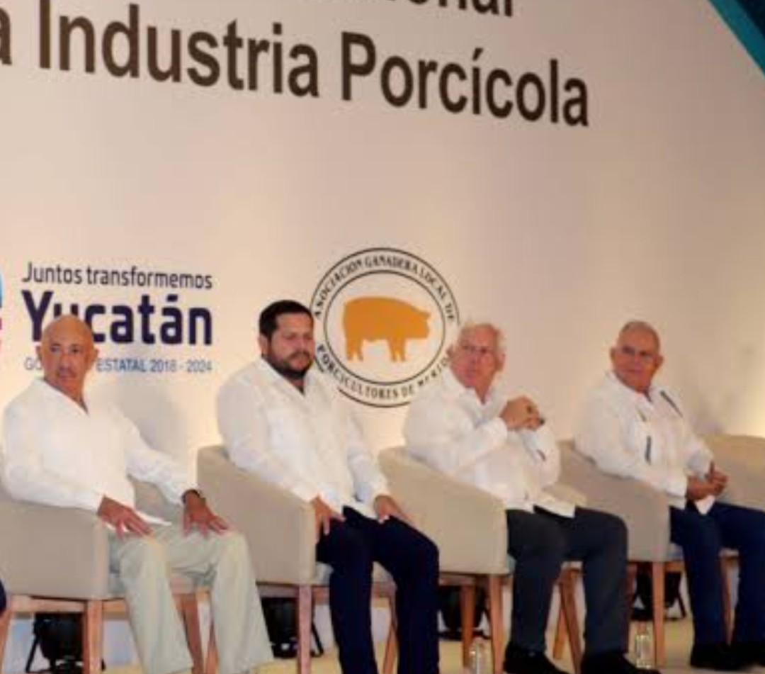 Industria porcícola de Yucatán va por certificación global de sustentabilidad