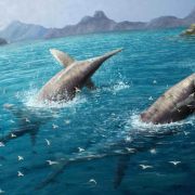 Descubren un salmón prehistórico