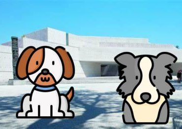 Artista usó a perros para una exhibición
