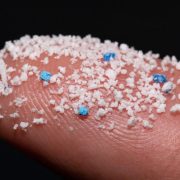 Encuentran microplásticos en testículos