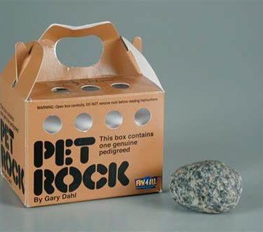 Coreanos adoptan piedras como mascotas