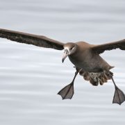 National Geographic premia a un mexicano