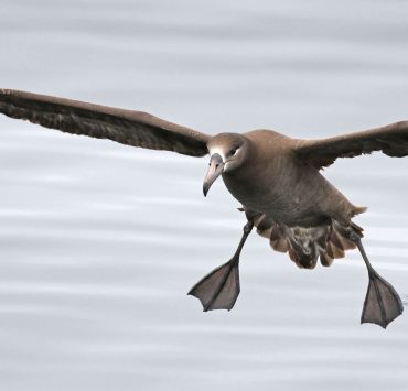 National Geographic premia a un mexicano