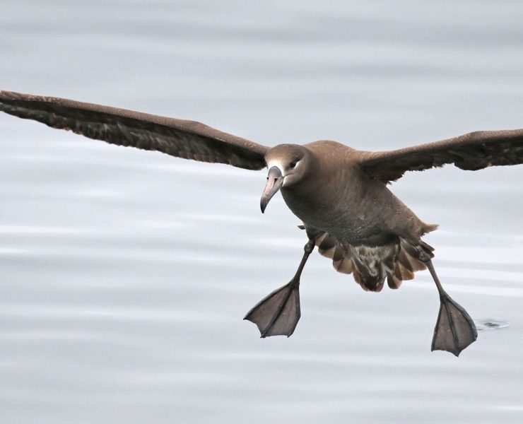 National Geographic premia a un mexicano