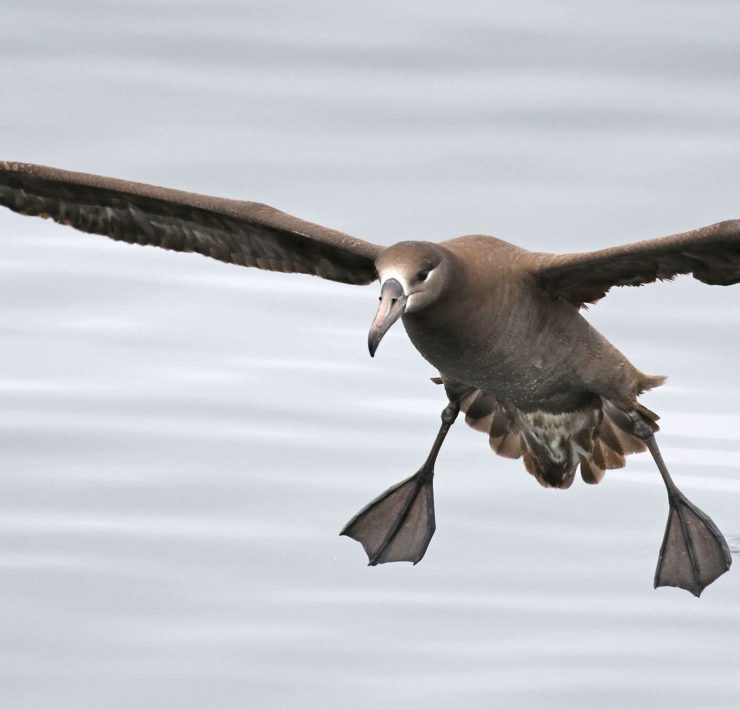 National Geographic premia a un mexicano