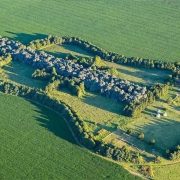 Un hombre sembró por 40 años un bosque