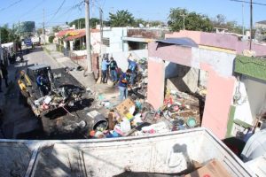 Fauna rescatada entre los desechos en Cordemex. Autoridades actúan ante la acumulación de basura. 