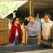 Realizan SEMADES Y COMESFOR visita a plantaciones de hule en Palenque