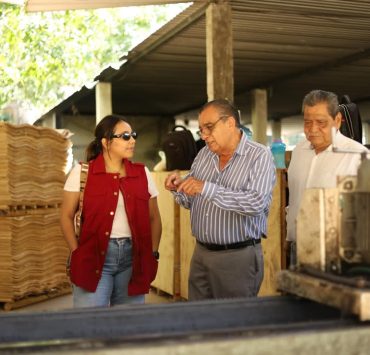 Realizan SEMADES Y COMESFOR visita a plantaciones de hule en Palenque