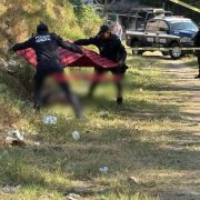 Alerta de género