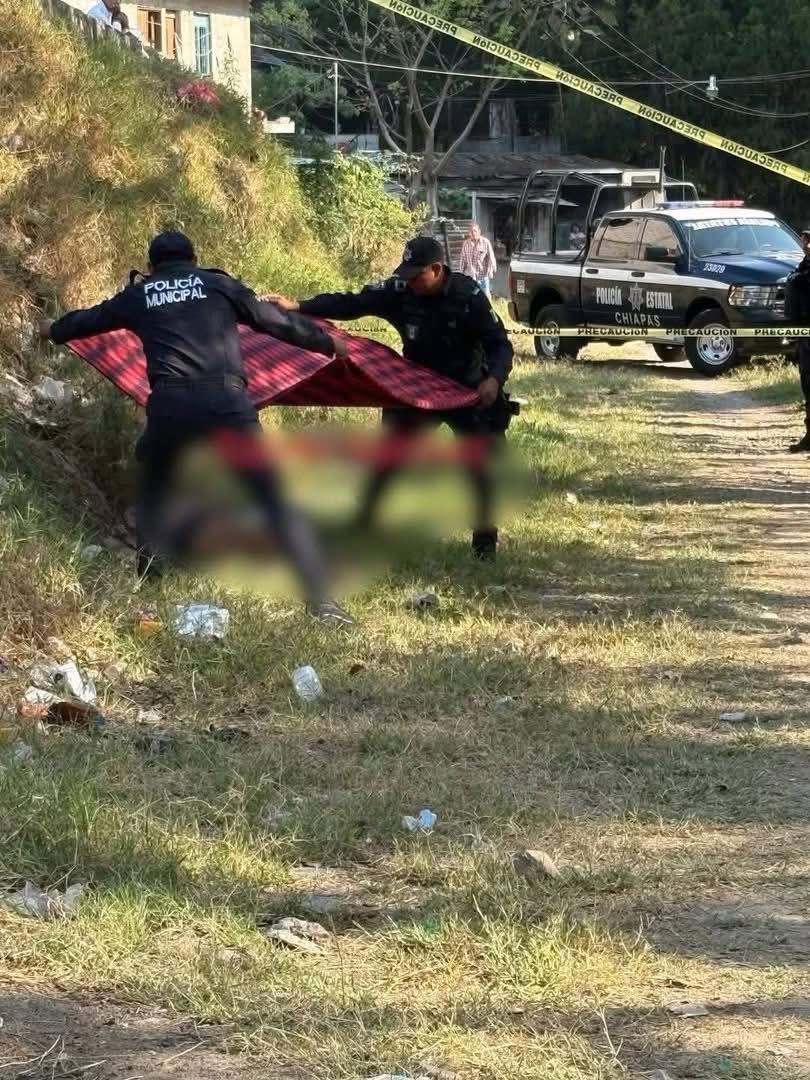 Alerta de género