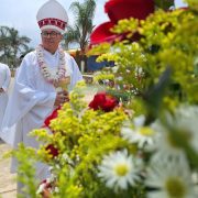 Violencia en Chiapas