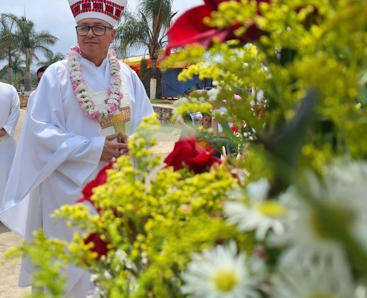 Violencia en Chiapas