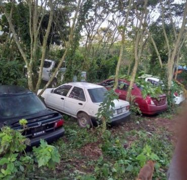 “autos chocolate”