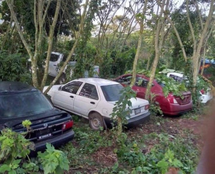 “autos chocolate”